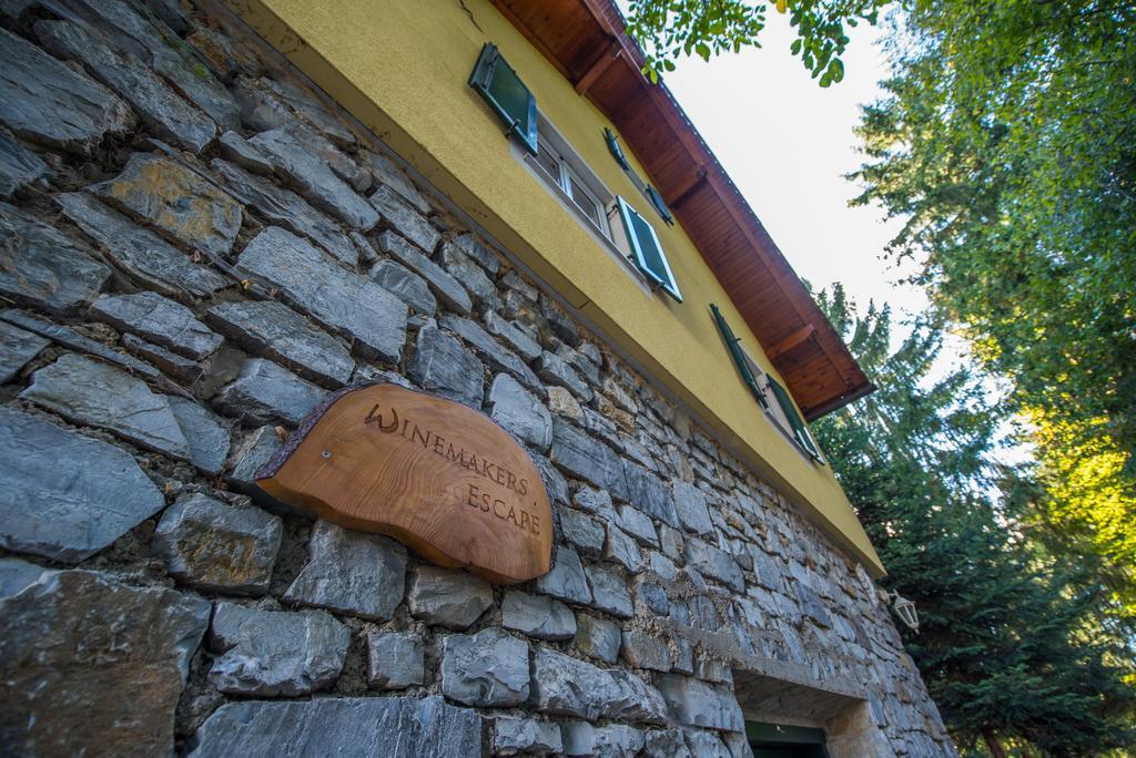 Winemakers Escape Vila Gleisdorf Exterior foto